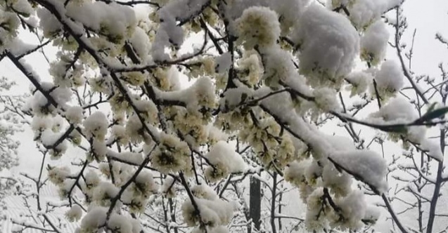 22 Nisan'da Artvin'e Kar Düştü