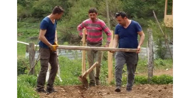 Bu Gençlere Tarla mı Dayanır!