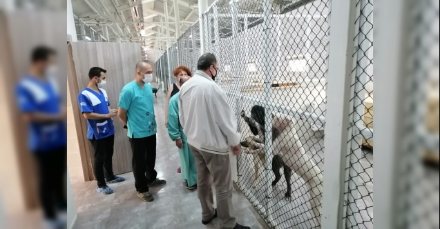 Başkan Elçin Hayvan Bakımevi ve Rehabilitasyon Merkezi'nde incelemede bulundu