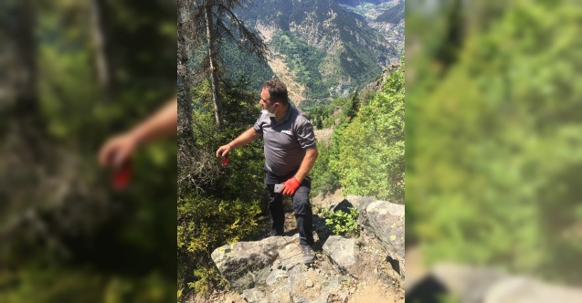 Artvin'de uçuruma düşen kadın hayatını kaybetti