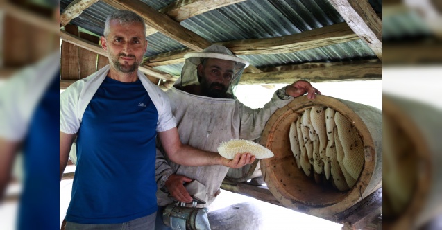 Artvin'in zengin doğasında üretilen ballar rağbet görüyor