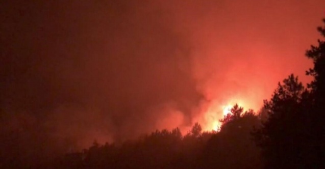 Artvin'de ormanlık alanda yangın