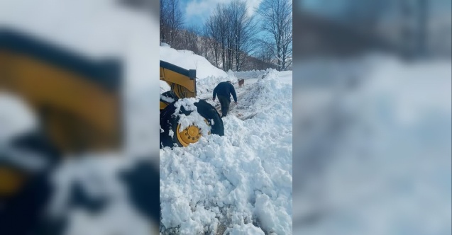 Karla Kapanan Yollar Açıldı Sürü Sahipleri Sevindi