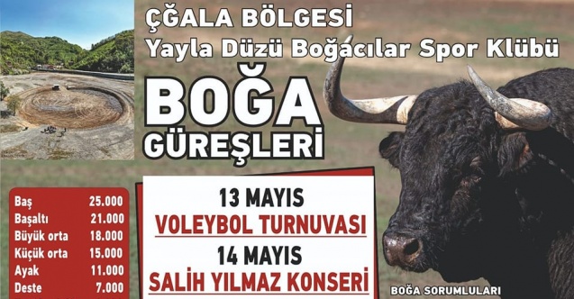 Borçka'da Boğa Güreşleri Düzenleniyor