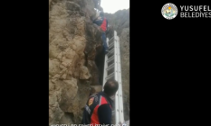 Kayalıklarda Mahsur Kalan Keçileri İtfaiye Ekipleri Kurtardı