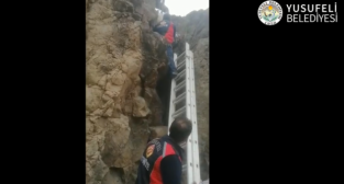 Kayalıklarda Mahsur Kalan Keçileri İtfaiye Ekipleri Kurtardı