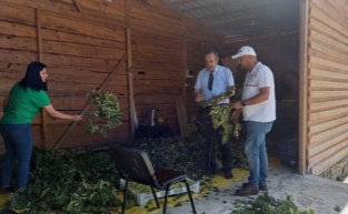 Şavşat Tarımsal Kalkınma Kooperatifi Üretimlerine Devam Ediyor