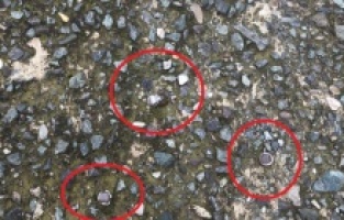 Kemalpaşa’da Engelli Parkuru