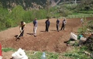 Tarlada Korona Virüs Önlemi